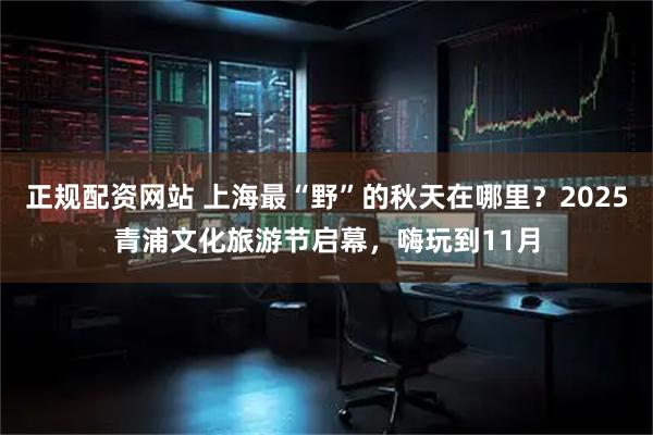 正规配资网站 上海最“野”的秋天在哪里？2025青浦文化旅游节启幕，嗨玩到11月