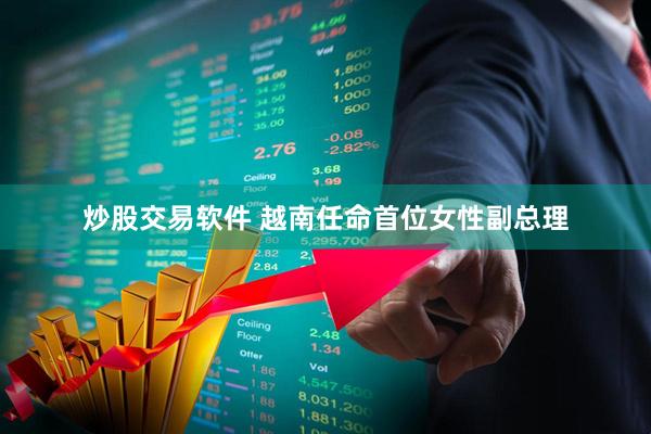 炒股交易软件 越南任命首位女性副总理