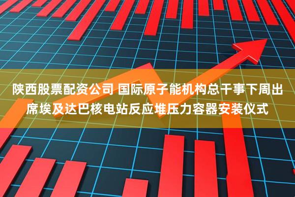 陕西股票配资公司 国际原子能机构总干事下周出席埃及达巴核电站反应堆压力容器安装仪式