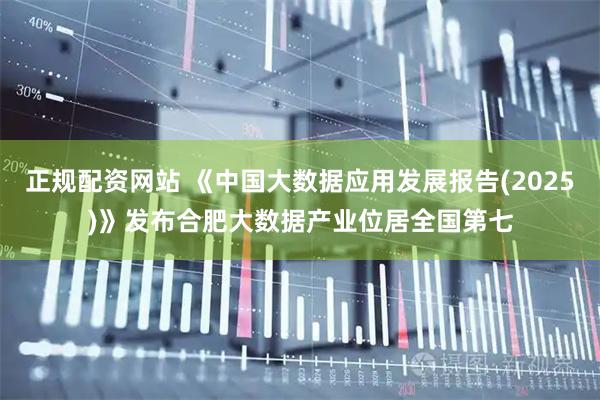 正规配资网站 《中国大数据应用发展报告(2025)》发布合肥大数据产业位居全国第七