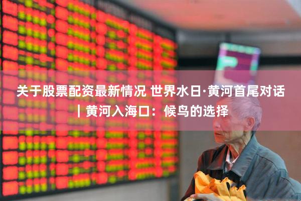 关于股票配资最新情况 世界水日·黄河首尾对话｜黄河入海口：候鸟的选择