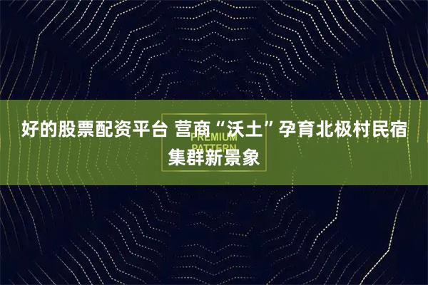 好的股票配资平台 营商“沃土”孕育北极村民宿集群新景象