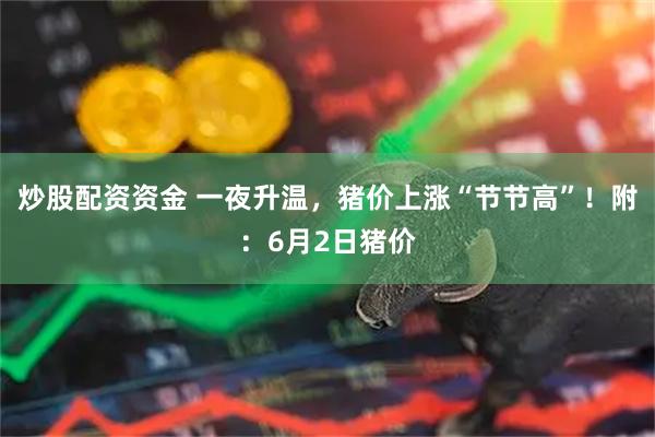 炒股配资资金 一夜升温，猪价上涨“节节高”！附：6月2日猪价