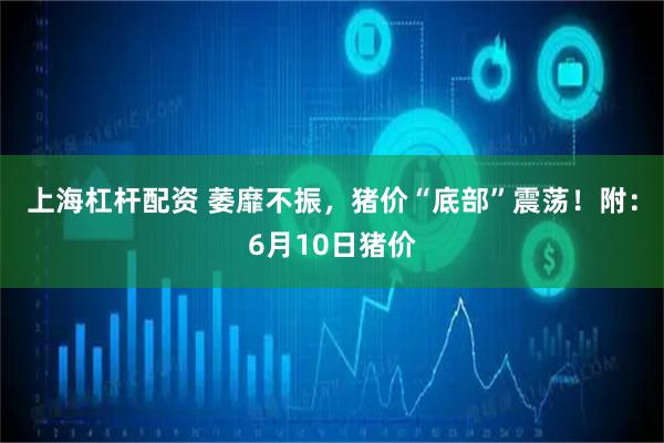 上海杠杆配资 萎靡不振，猪价“底部”震荡！附：6月10日猪价
